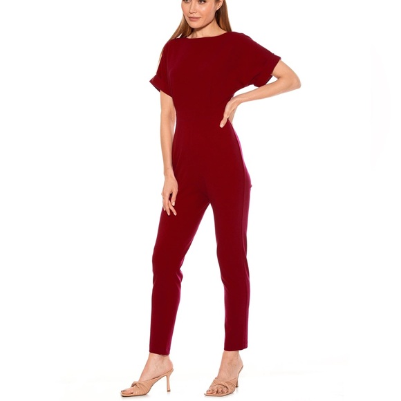 NWT Alexia Admor Sadie Jumpsuit Cranberry Woman’s XS - Picture 1 of 5